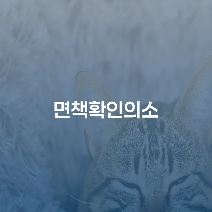 개인회생신청 개인회생 문제해결방법 견적체크