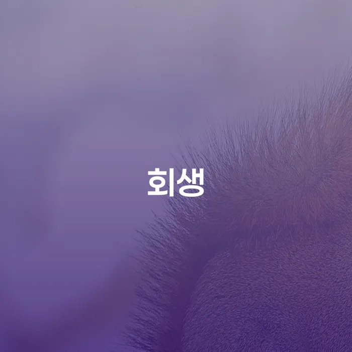 채무조정신청 개인회생으로 방법 검토하여