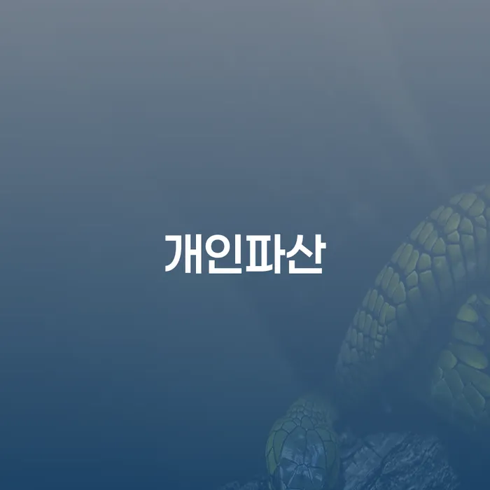 개인파산이란 채무조정제도을 이용하여 체크해보세요