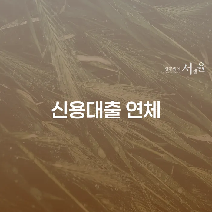 개인회생파산신청 채무조정제도을 이용하여 신청했을 경우
