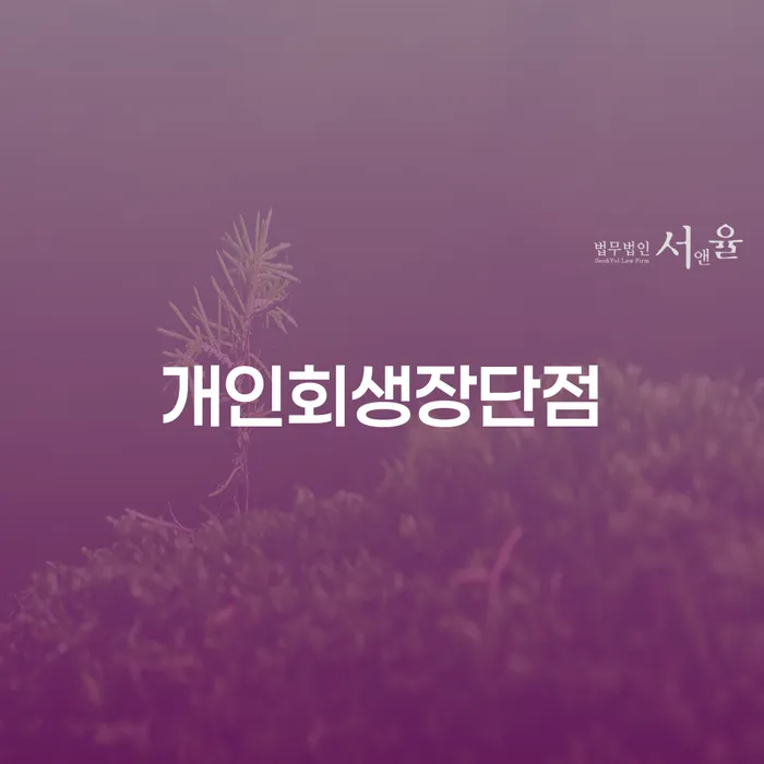 파산신청 채무조정제도을 이용하여 노하우들