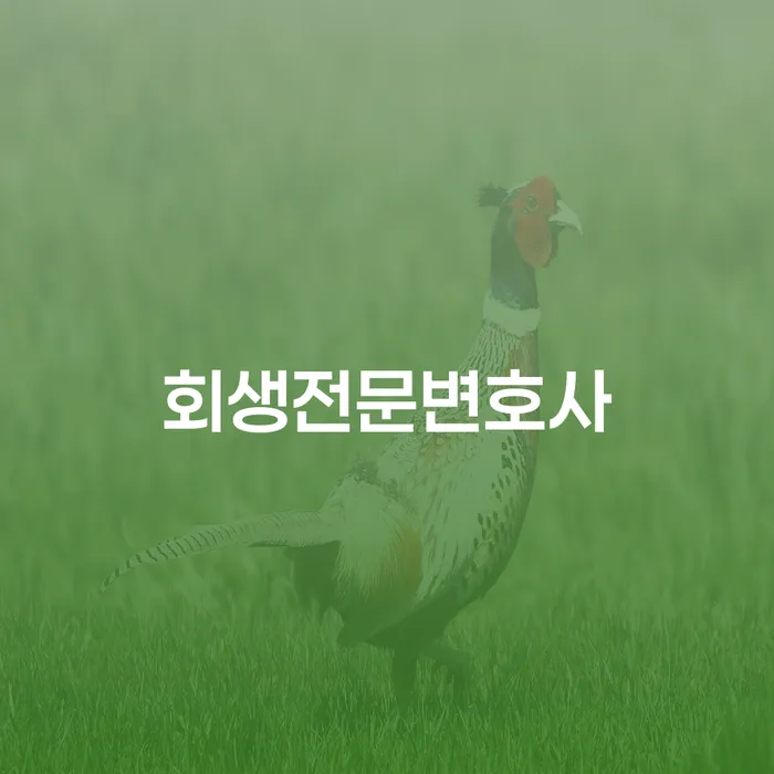 개인회생 연체 채무 신속해결방법 추천하는 법률사무소