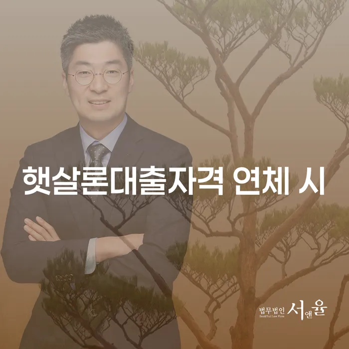 개인회생법원 개인회생으로 해결 적정한
