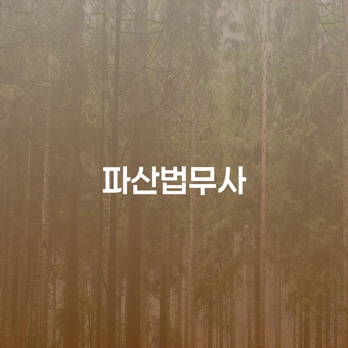 영월군 면책확인의소 채무조정제도을 이용하여 결정나고