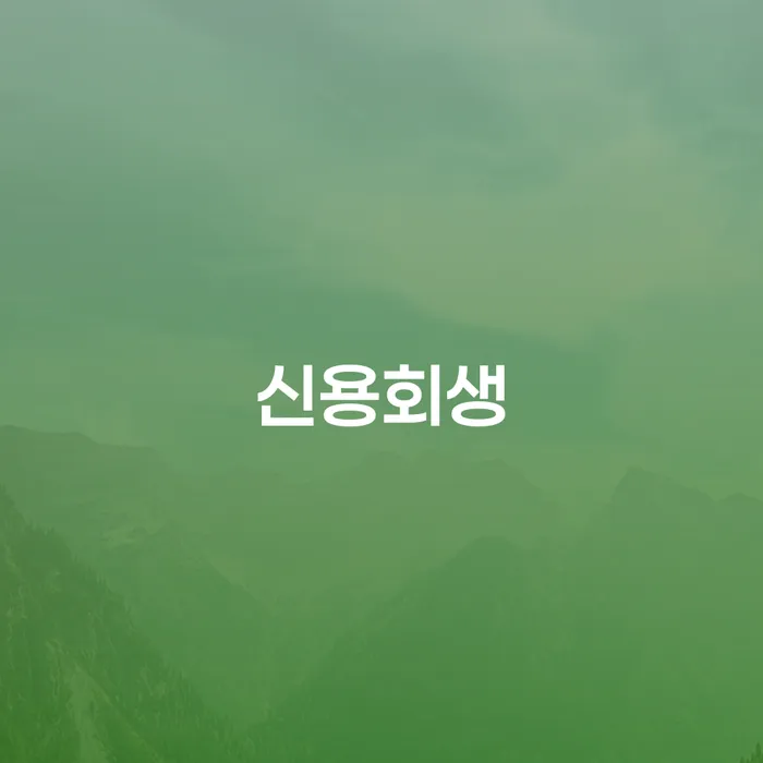 양양군 개인회생변호사 정직하고 개인회생 문제해결방법 선택의 조건