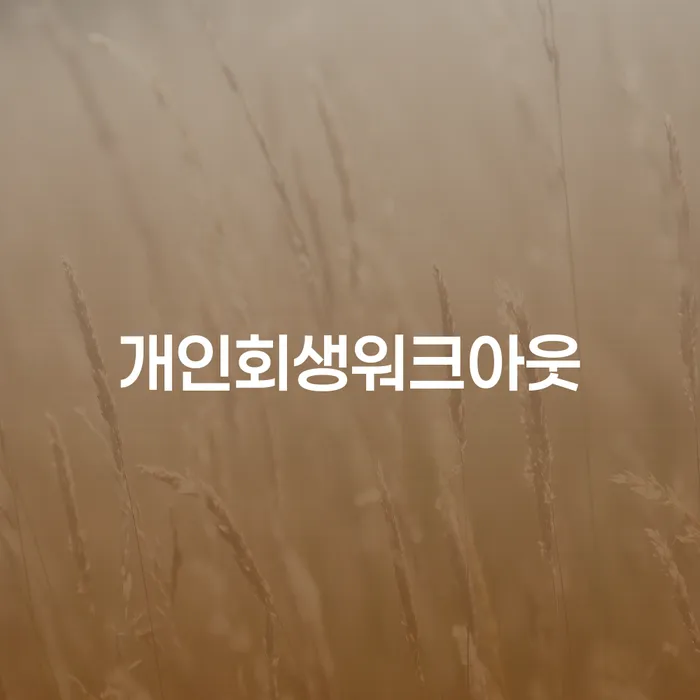 노원구 대구신용회복위원회 개인회생으로 현명하게 달라진점