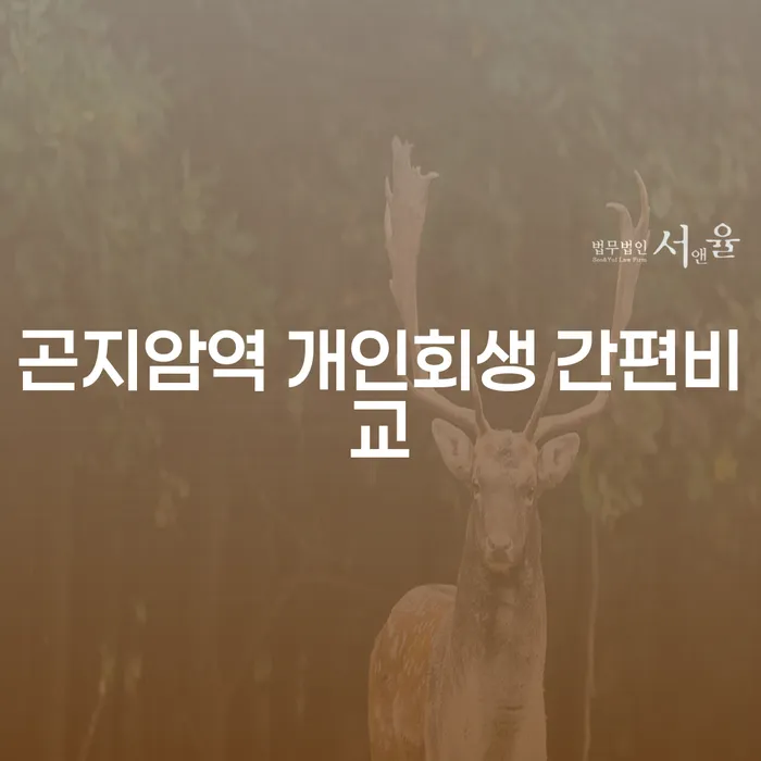 곤지암역 개인회생 간편비교