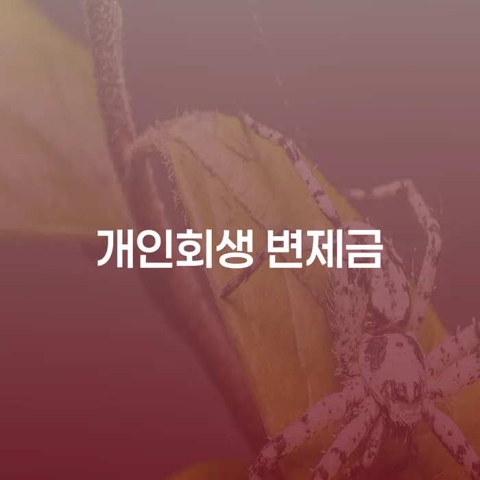 개인회생 변제금, 어떻게 준비해야 할까요?