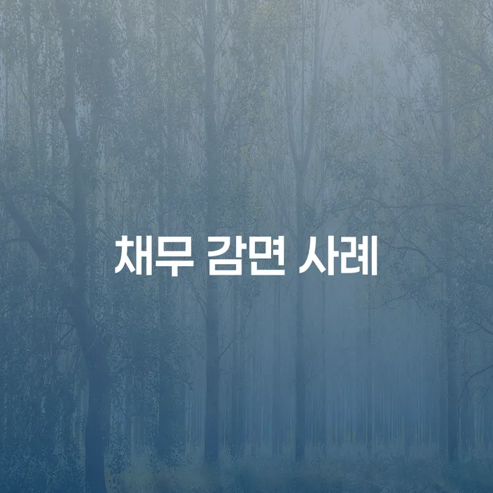 채무 감면 사례는 어떻게 개인회생과 파산을 통해 해결될 수 있을까요?