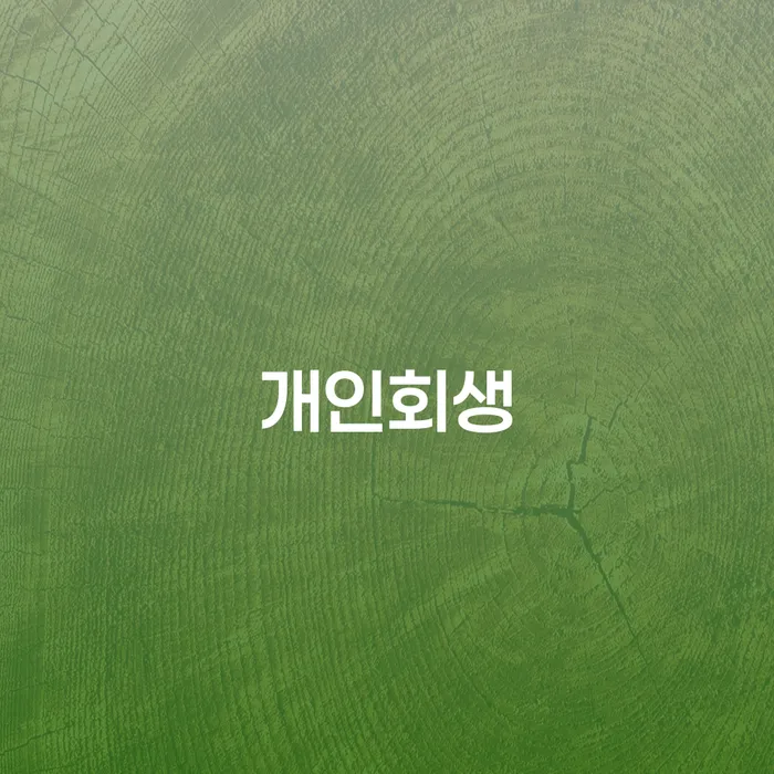 밀양시 개인회생 절차 및 중요 사항