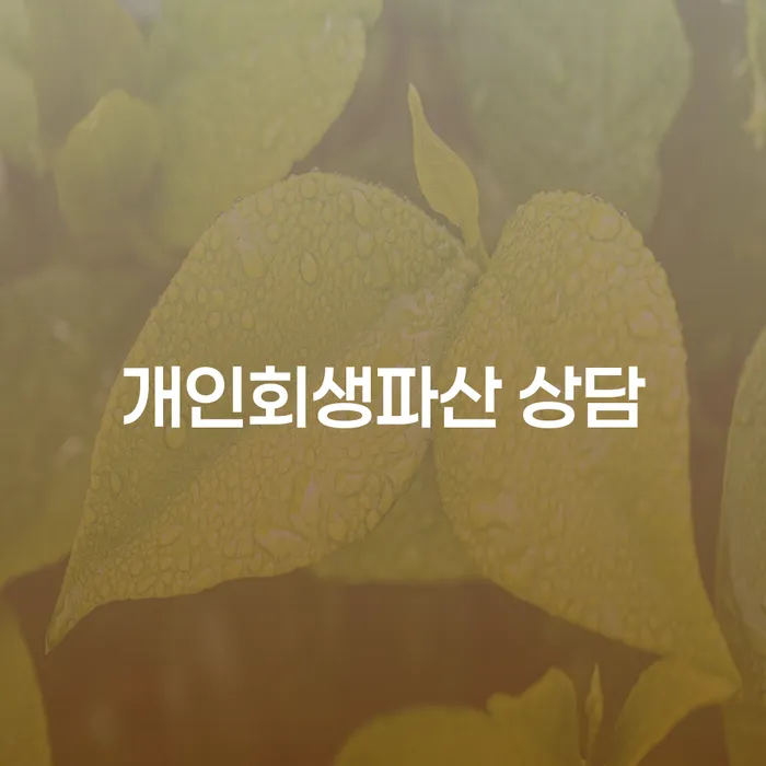 연제구 개인회생 파산 상담의 모든 것