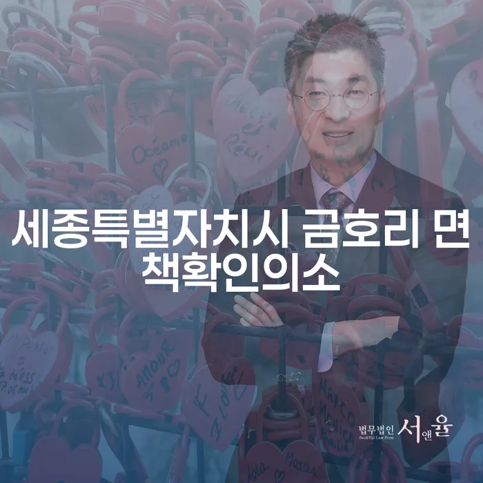 세종특별자치시 금호리에서 면책확인의소와 채무자회생, 어떻게 해야 할까요?