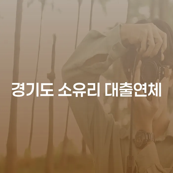 경기도 소유리 대출연체, 어떻게 해결할 수 있을까요?